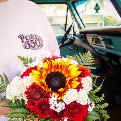 Petals 350 Instagram post 5
