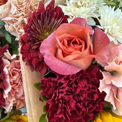 Petals 350 Instagram post 6