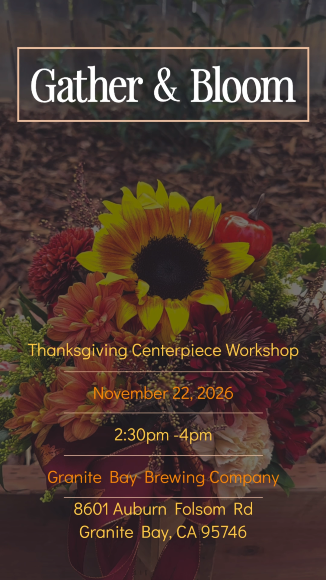 Seasonal Workshops